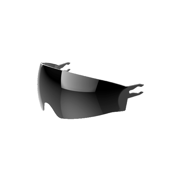 Specktre sun visor